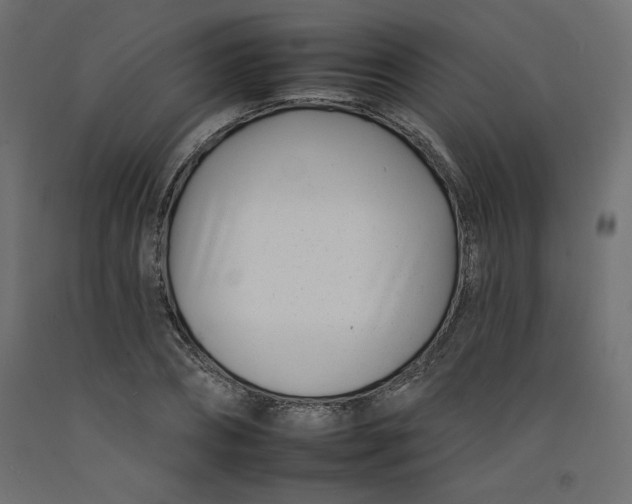 X0000092260882200710121337