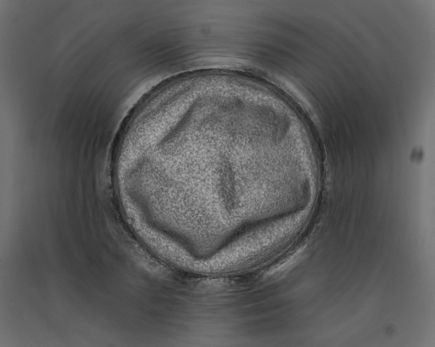 X0000092260883200710121337