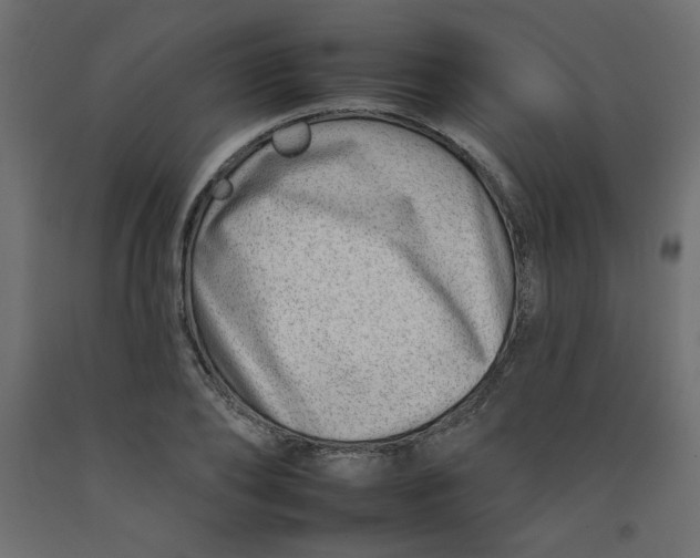 X0000092260886200710121337