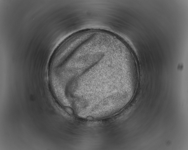 X0000092260887200710121337