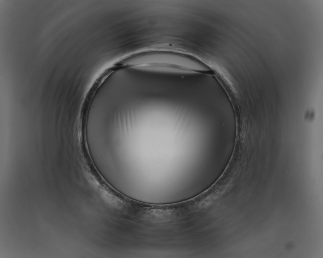 X0000092260888200710121337