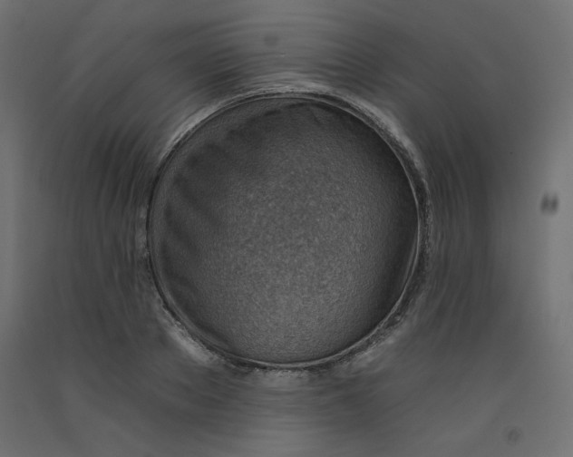 X0000092260889200710121337