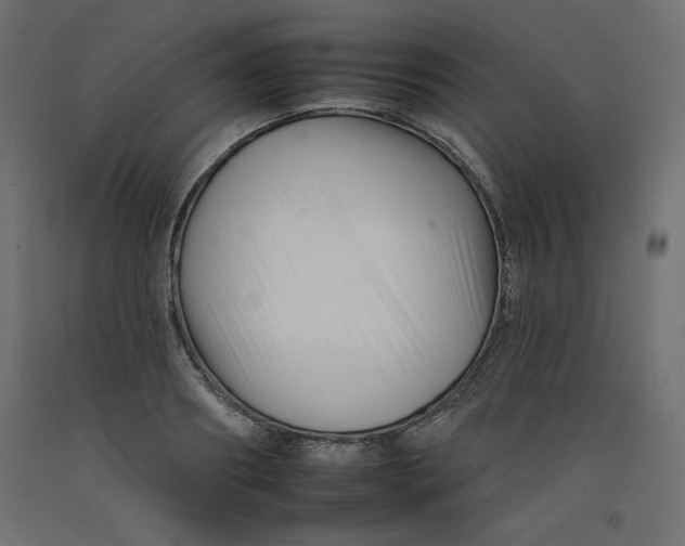 X0000092260890200710121337