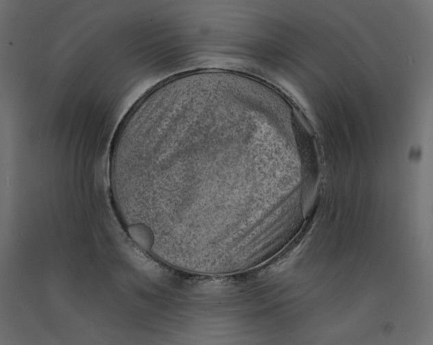 X0000092260891200710121336