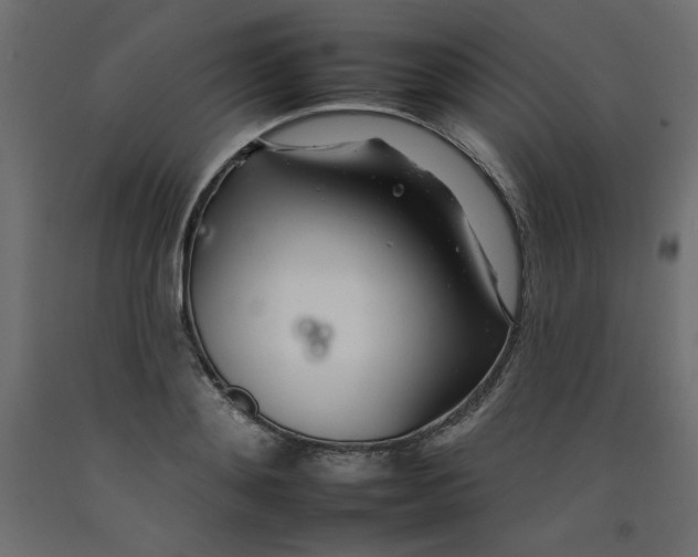 X0000092260892200710121336