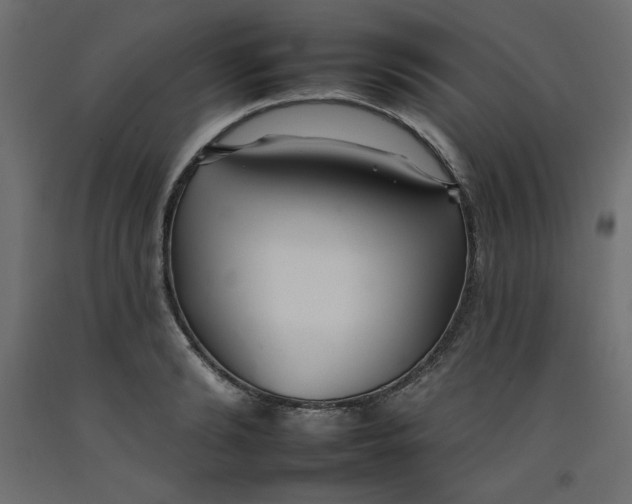 X0000092260894200710121336