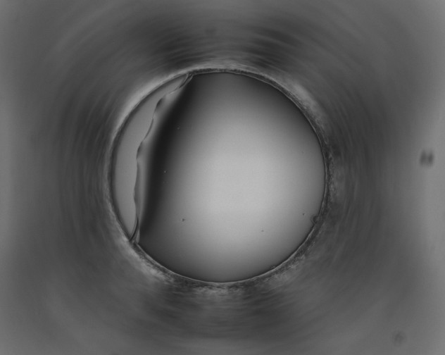 X0000092260896200710121336