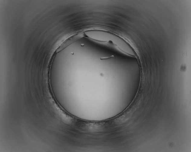 X0000092260898200710121336