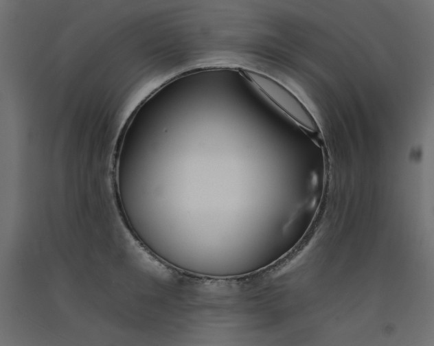 X0000092260901200710121336