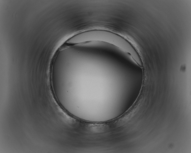 X0000092260902200710121336