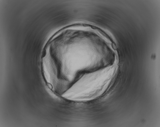 X0000092260903200710121336