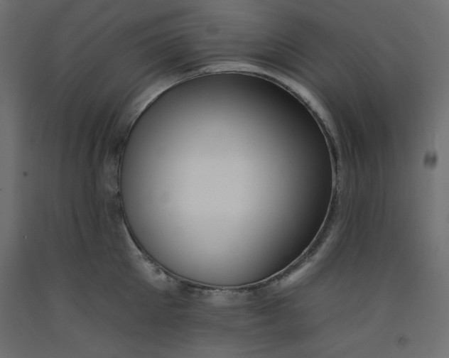 X0000092260905200710121336