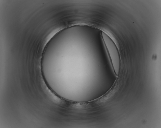 X0000092260906200710121336