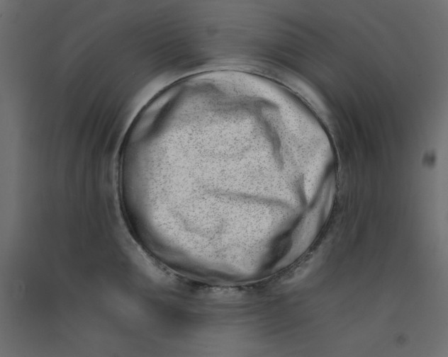 X0000092260907200710121336