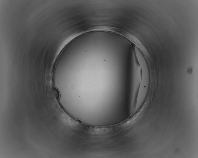 X0000092260908200710121336