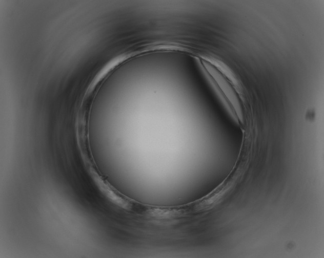 X0000092260910200710121336