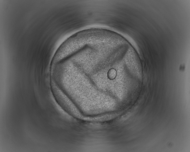 X0000092260911200710121336