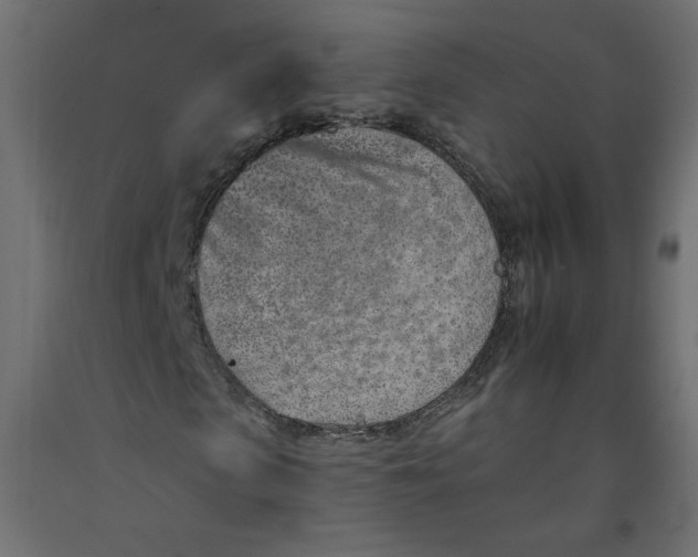 X0000092260913200710121336