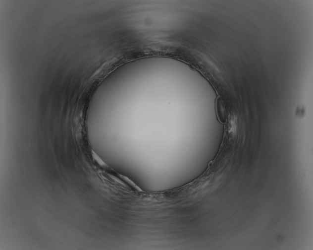 X0000092260915200710121336