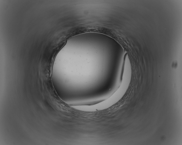 X0000092260916200710121336