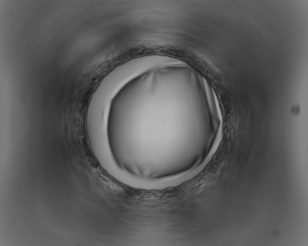 X0000092260917200710121336