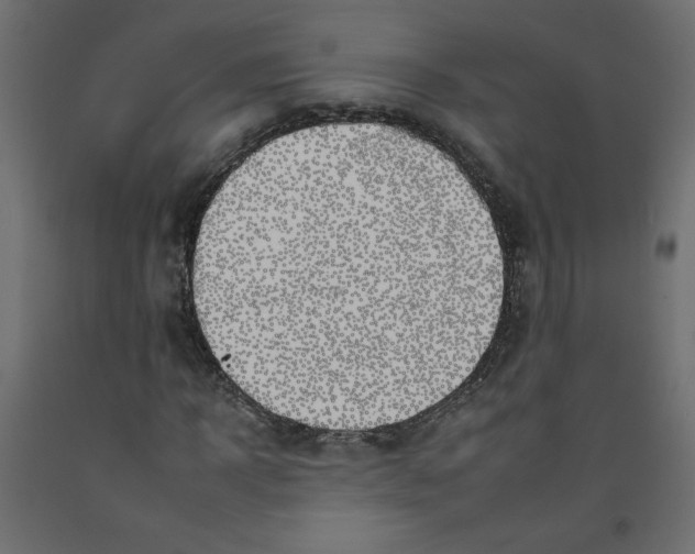 X0000092260918200710121336