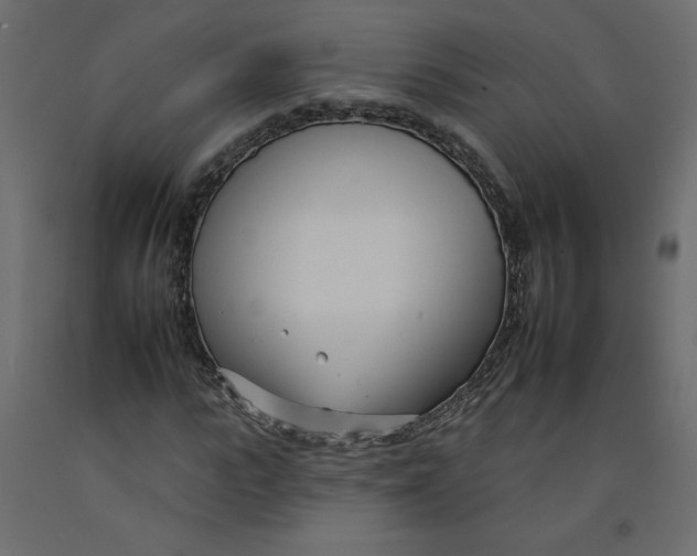 X0000092260919200710121336