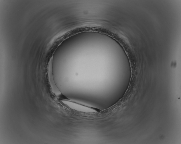 X0000092260920200710121336