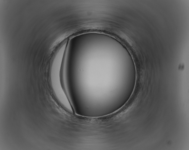 X0000092260922200710121336