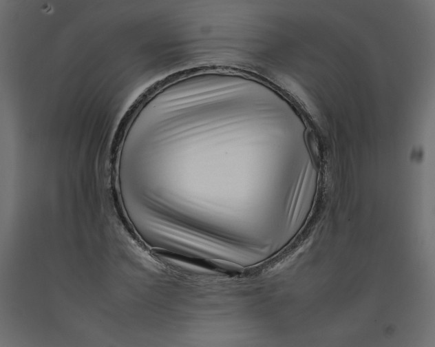 X0000092260924200710121336