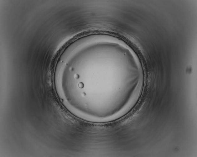 X0000092260925200710121336