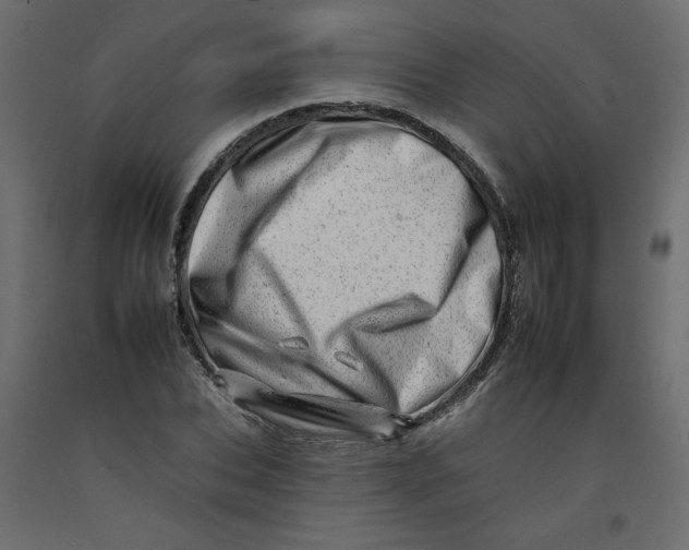 X0000092260927200710121336