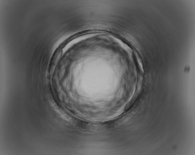 X0000092260928200710121336