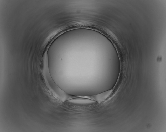 X0000092260930200710121336