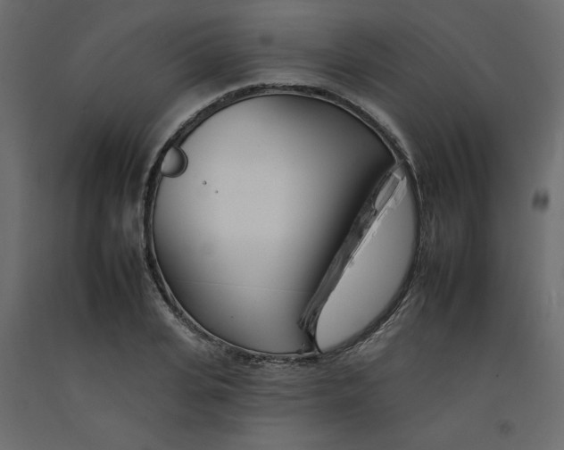 X0000092260935200710121336