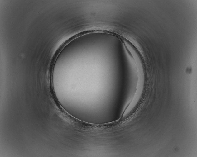 X0000092260936200710121336