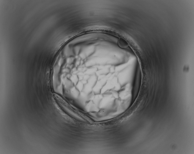 X0000092260937200710121336