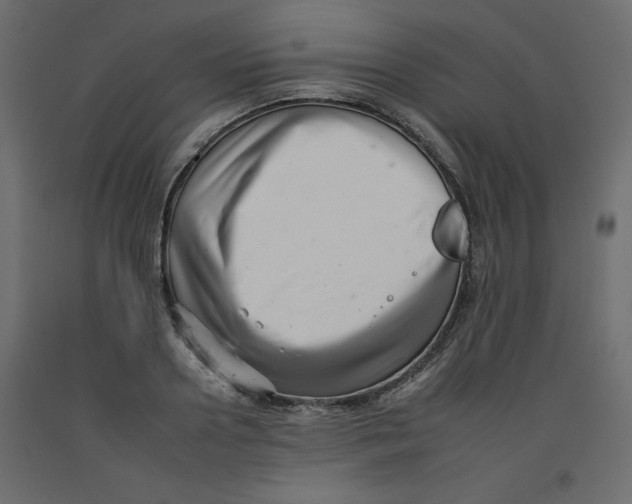 X0000092260938200710121336