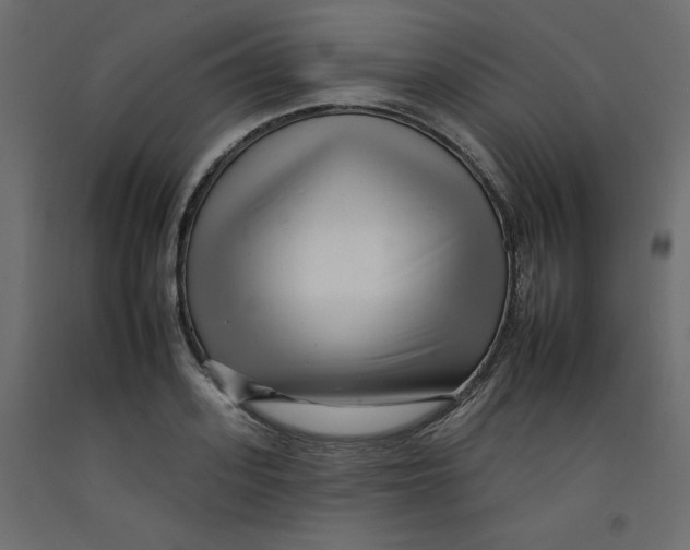 X0000092260939200710121336