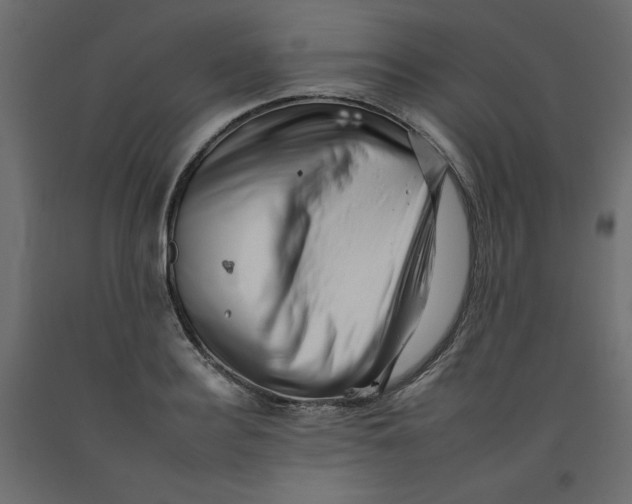 X0000092260940200710121336