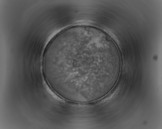 X0000092260941200710121336