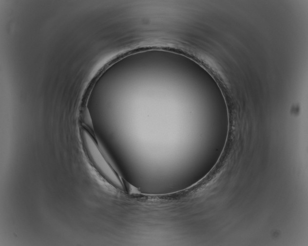 X0000092260942200710121336