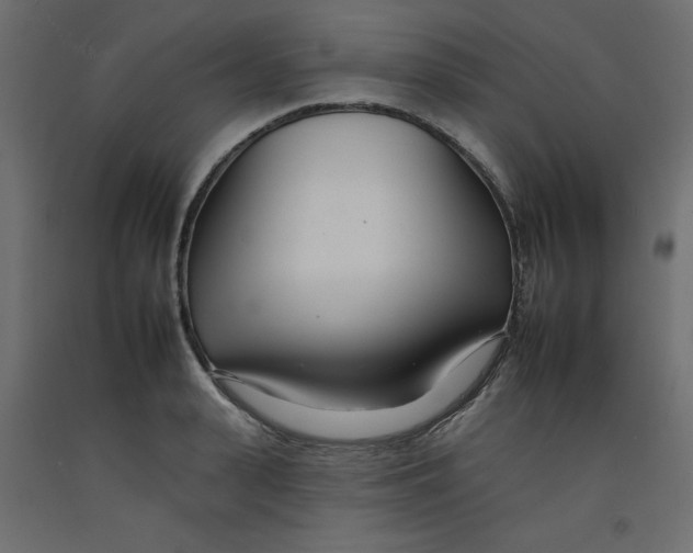 X0000092260943200710121336