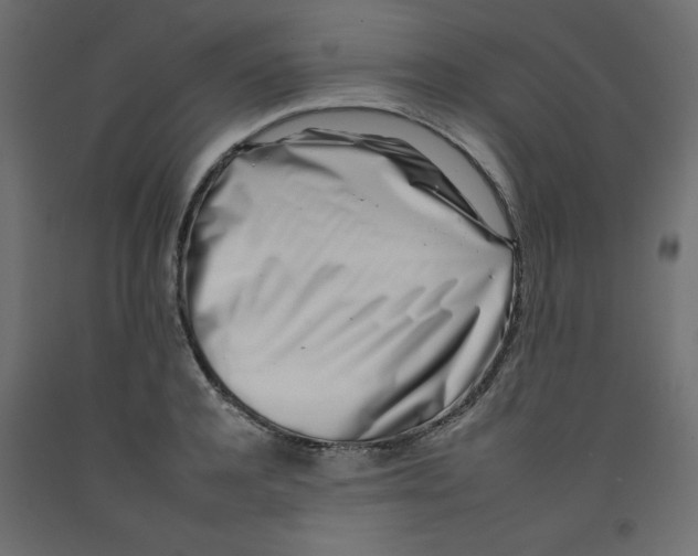 X0000092260944200710121336