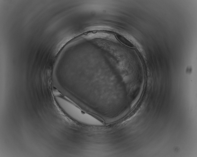 X0000092260945200710121336