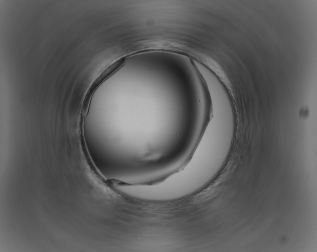 X0000092260946200710121336