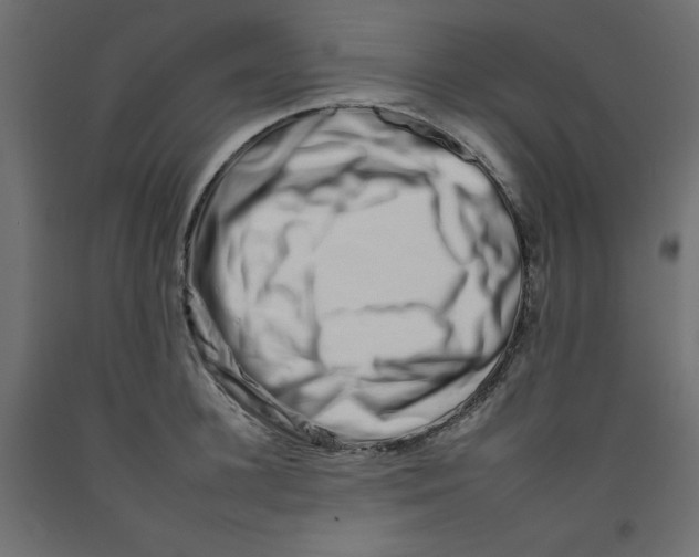 X0000092260948200710121336