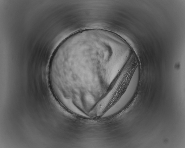 X0000092260949200710121336