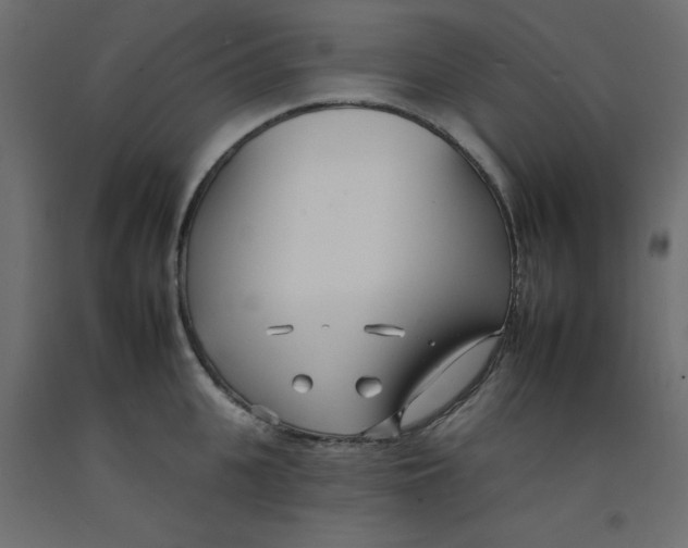 X0000092260951200710121336