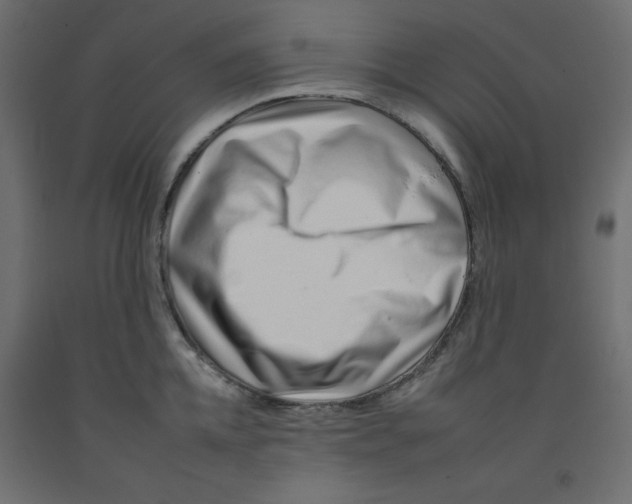 X0000092260952200710121336